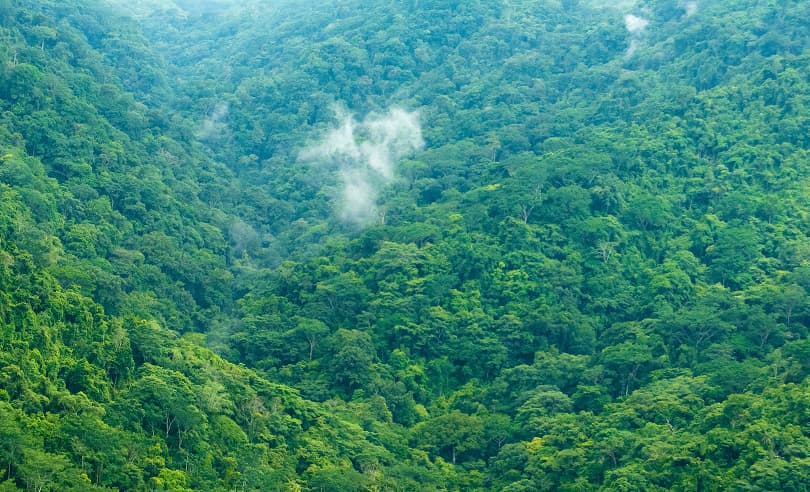 Sustainability Simple Terms